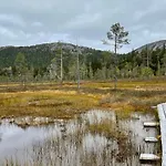 Pyhae Nallentupa