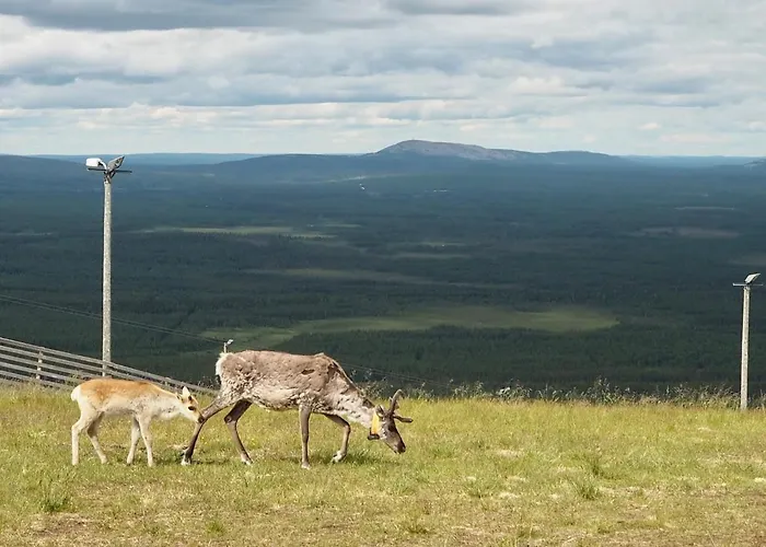 Pyhä Nallentupa Lomamökit